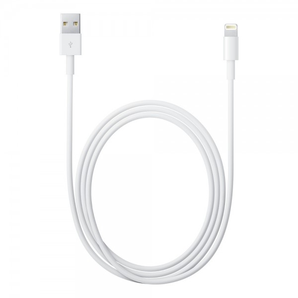 original Apple Lightning auf USB Kabel (1 m)