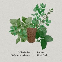 BerlinGreen PlantPlugs, Italienische Kräutermischung, 8er-Pack